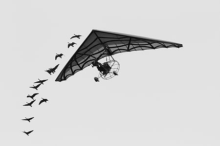 liba, repülőgép, Puy du fou, siklóernyőzés, repülés, emberi, repülő