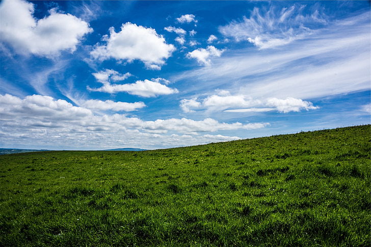 green, grass, field, sky, blue, clouds