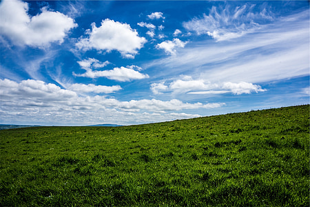 zelena, trava, polje, nebo, plava, oblaci
