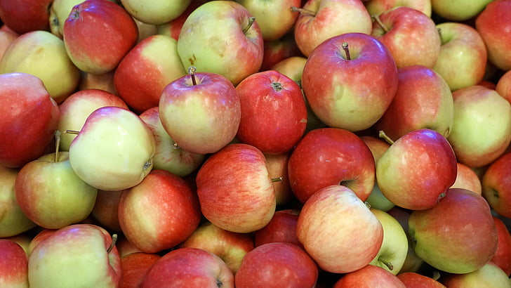 frukt, Apple, frukter, kernobstgewaechs, Apfelernte, friska, mat och dryck