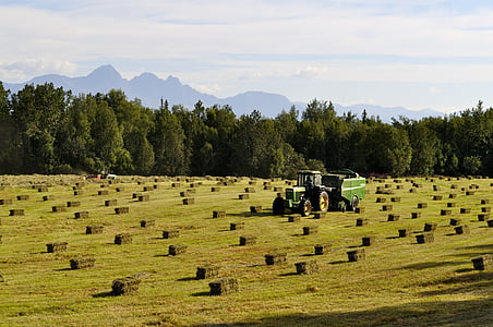 Bauernhof, Hay, Grass, Traktor, Bale, Landwirtschaft, Feld