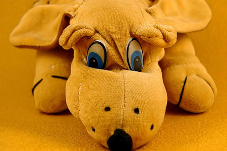 toy, stuffed, animal, cute, dog, brown, soft