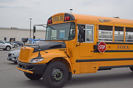 школьный автобус, автобус, Школа, Транспорт, образование, транспортное средство, Транспорт