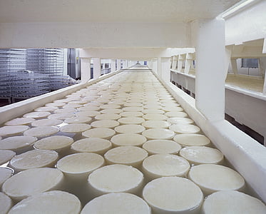 сирене, млечни продукти, втвърдяване, кръга, храна, млечни продукти, производство