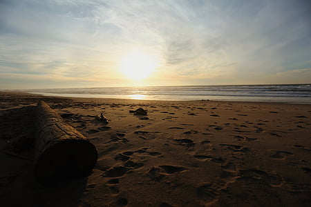 beach, coast, dawn, dusk, footprints, horizon, log