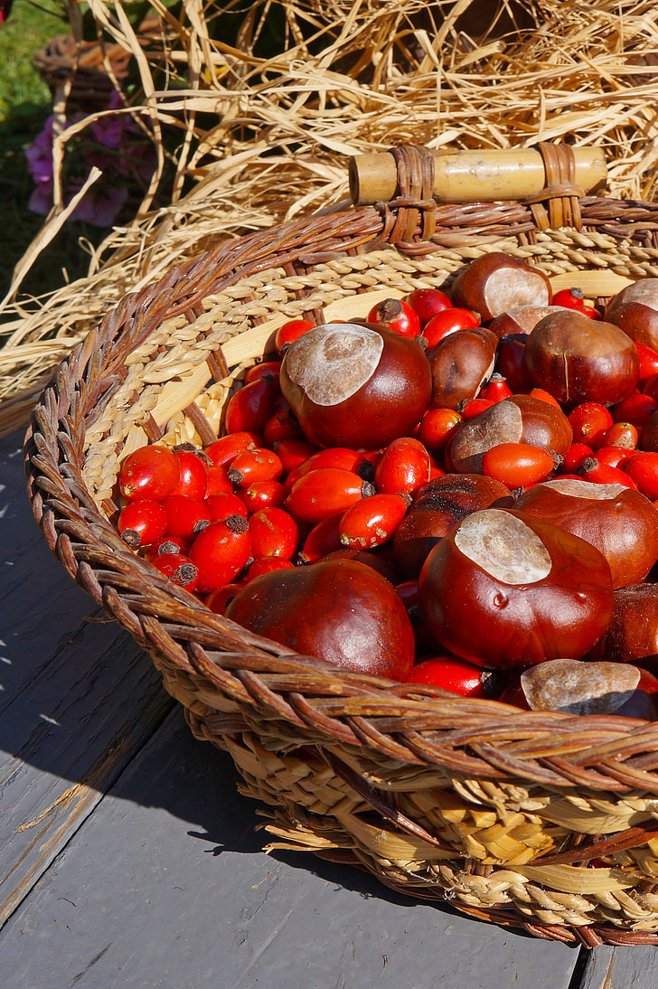 basket, rosehips, chestnut, autumn