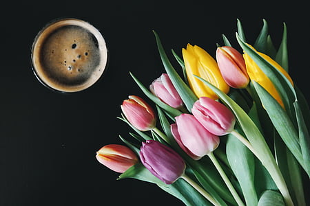 咖啡, 杯, 饮料, 植物区系, 花, 郁金香, 郁金香