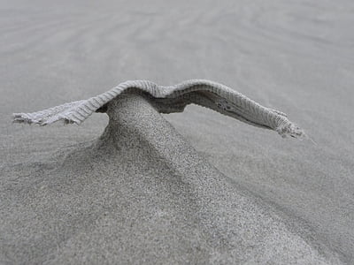 strand, zand, abstract, vleugels, natuur, Wind, Figuur