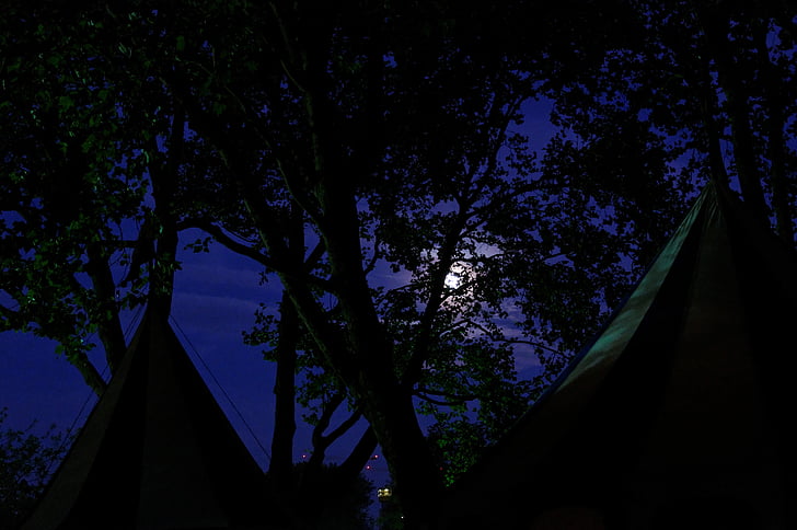 mercato medievale, accampamento dell'esercito, tende, cima d'albero, Luna, Di notte