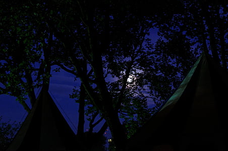 medieval market, army camp, tents, treetop, moon, at night