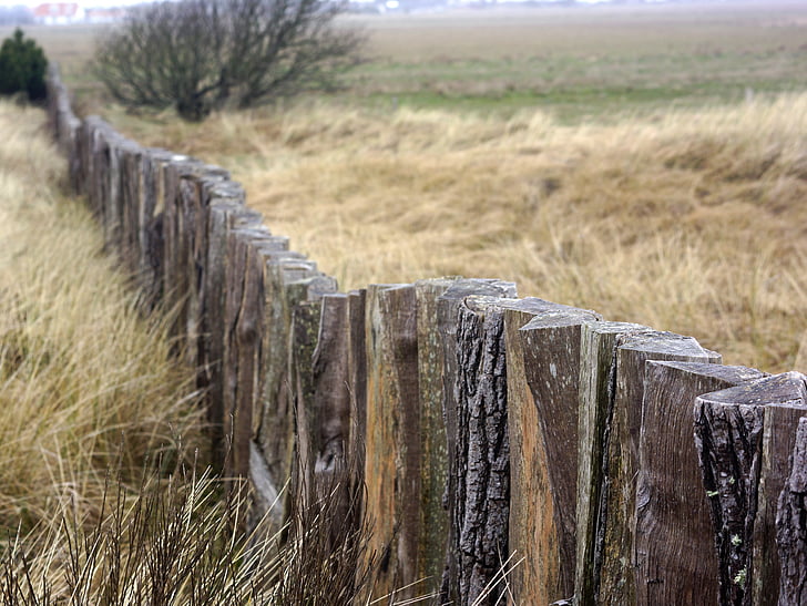 staket, egehegn, Dunes, Lyme grass, dela upp