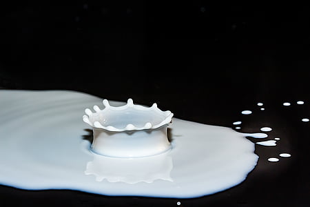 drops of milk, spray, splash, surface tension, crown pattern, drip, milk