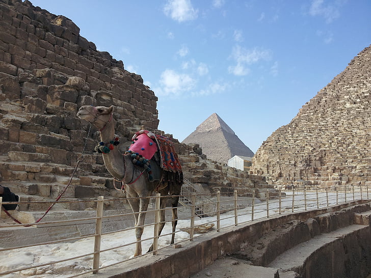 Égypte, pyramides, Giza, Pierre, chameau, désert, architecture