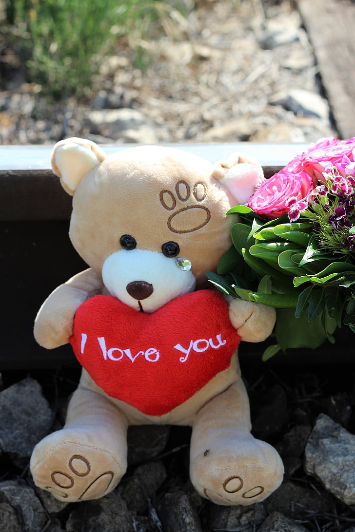 raudāšana Teddy bear, dzelzceļš, pārtraukt bērna pašnāvība, Pietura pusaudzis pašnāvību, pārtraukt studentu pašnāvību, apturētu jauniešu pašnāvību, pārtraukt vardarbību pret bērniem