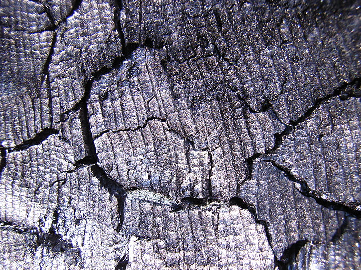 Carbon, Holzkohle, Holz, brannte, Esche, Brennholz, Holz-Feuer