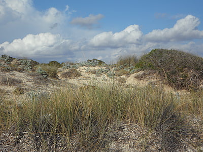 dunes, paysage de dunes, vide, l’encrassement, sable fin, reste, calme