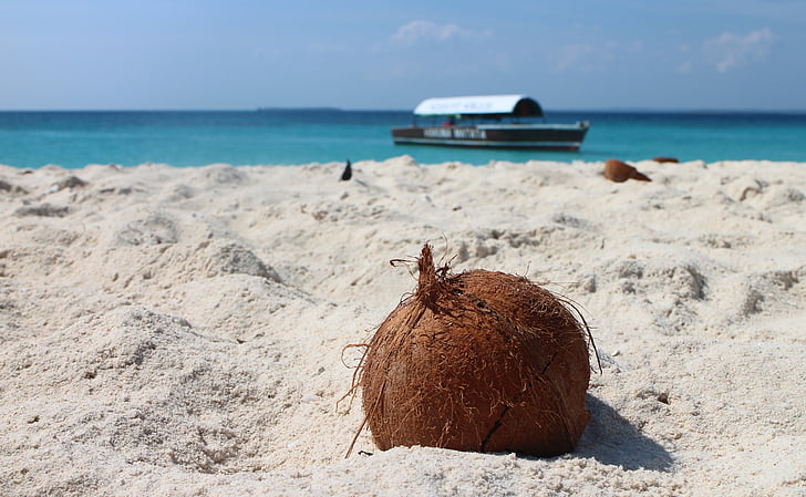 coconut, beach, sand, sand beach, boot, sea, caribbean