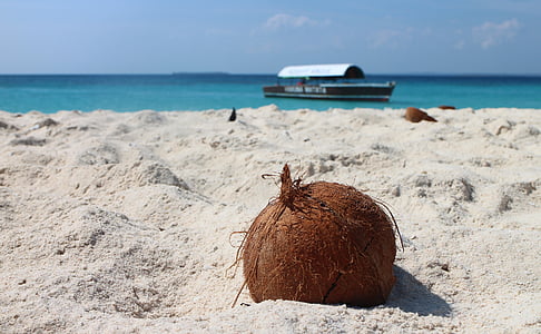 kokosowy, Plaża, piasek, piaszczystej plaży, Boot, morze, Karaiby