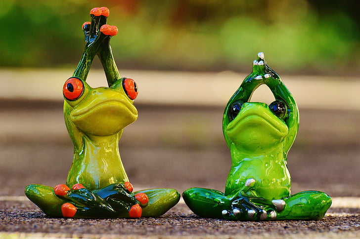 grenouilles, Figure, Yoga, gymnastique, drôle, grenouille, vert
