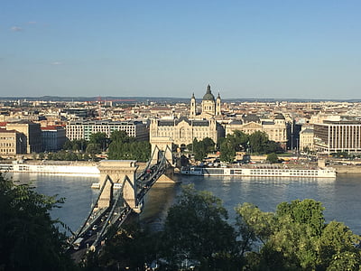 布达佩斯, vista, 多瑙河, 桥梁, 景观