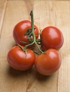 tomat, merah, Bush tomat, sayuran, Makanan, vegetarian, sehat