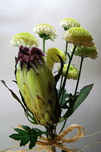 flor de Protea, flor, Protea, indígenas, verde claro, marcas, oscuro