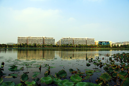 high-rise building, housing block, campus, block of flats, living, building, architecture