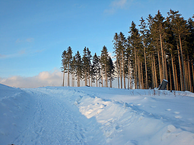 Schnee, Winter, winterliche, Harz