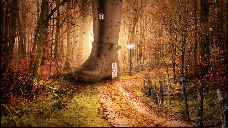 artwork, autumn colours, boot, composition, door, fence, forest