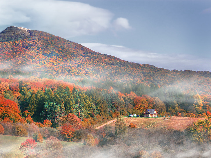Bieszczady, montagnes, maison, Cottage, automne, feuillage, arbre