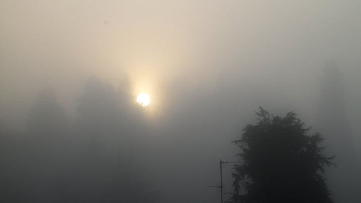 kabut, matahari, musim dingin