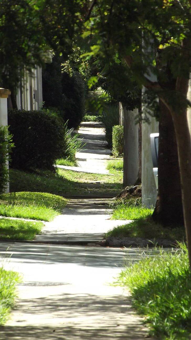 path, street, stillness