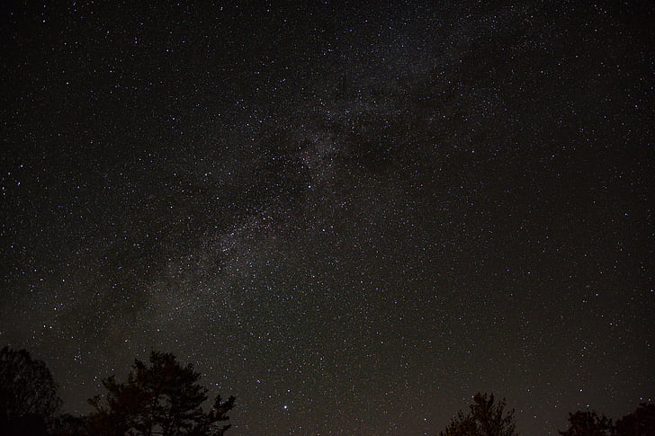 silhouette, trees, starry, night, sky, star, galaxy