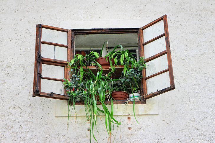 window, old, old window, facade, flowers, historically, flower box