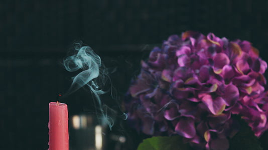 лилаво, цветя, розово, свещ, Вайълет, цвете, мъгла