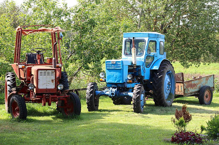 traktor, régi, közlekedés, nyári, munka