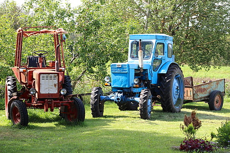 traktori, vana, transpordi, suvel, töö