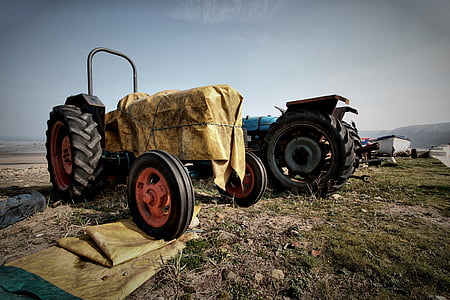 traktors, vecais, sarūsējis, vīnogu novākšanas, lauksaimniecība, mašīnas, antīks