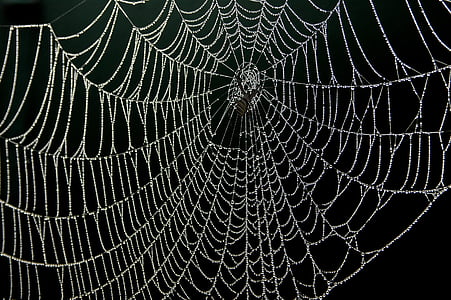jaring laba-laba, embun, tetes, alam, kerapuhan, latar belakang, bertekstur
