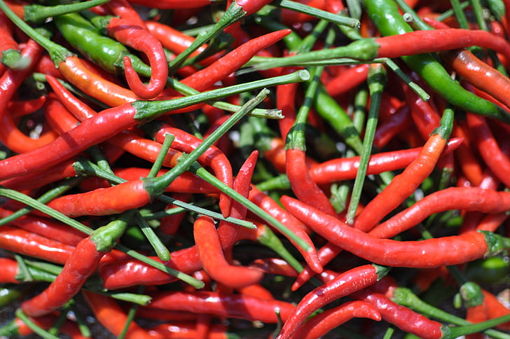 chilli papriček, Kuchyňská zahrada zelenina, závod, jídlo, zelenina, červená