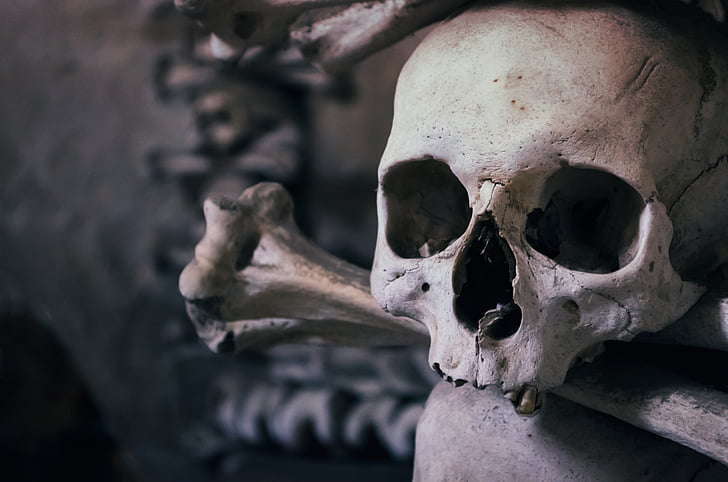 schedel, Ossuarium, Tsjechische Republiek, kapel van all saints, Kutna hora, dood, menselijke schedel