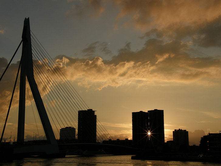 Rotterdam, most Erasmus, pristanišča
