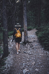 жінка, носіння, коричневий, шкіряні, рюкзак, ходьба, дерева