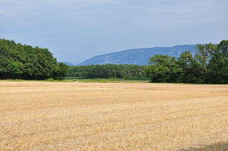 Felder, des ländlichen Raums, Landschaft, Laconnex, Genf, Landschaft, Landwirtschaft