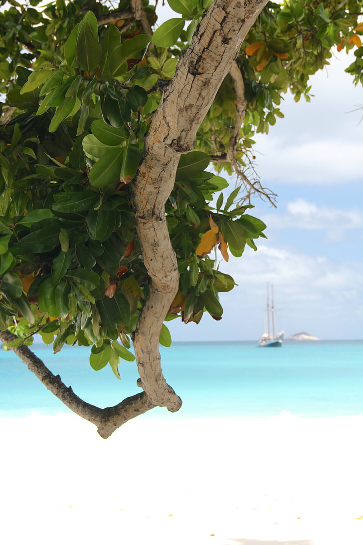 море, обувка, Сейшелски острови, вода, кораб, Кариби, Малдиви