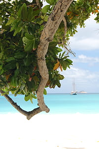 more, topánka, Seychely, vody, loď, Karibská oblasť, Maledivy