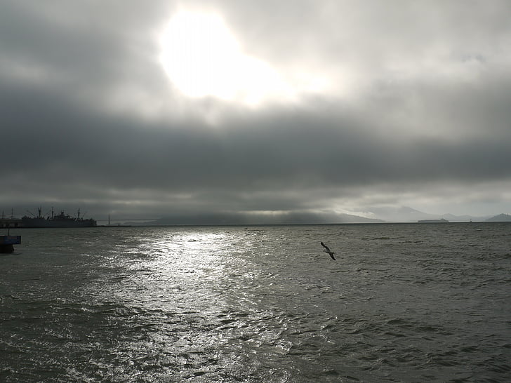 San francisco, mar, Océano, California, Seagull, nubes, sol