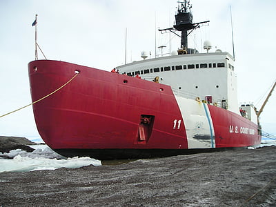 isbryder, bibs36 station, Antarktis
