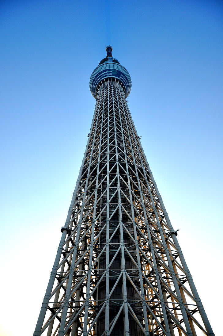 Tòquio, skytree, Japó, edifici, d'alçada, gratacels, crepuscle