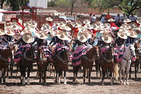 小競り合い, メキシコ, 伝統, charros, 馬, キャンバス